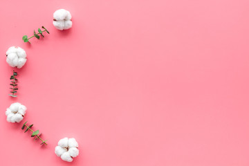 Flowers border with green eucalyptus branches and dry cotton flowers on pink background top view space for text