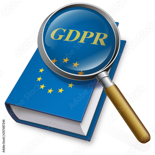 Livre du règlement général sur la protection des données à la loupe (Anglais)