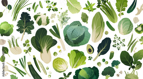Isolated herbs and vegetables managed into pattern, leafy greens template background