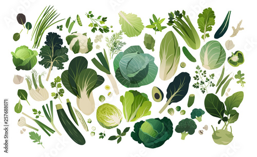 Vegetables and herbs background isolated on white, leafy greens template background photo