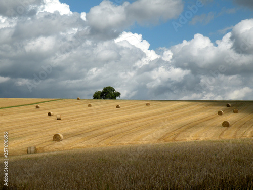 sommer