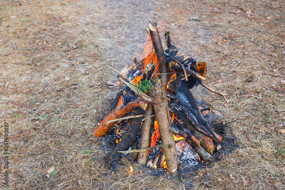 Bonfire in the spring forest on the background of withered grass. Bonfire in the spring forest on the background of withered grass.