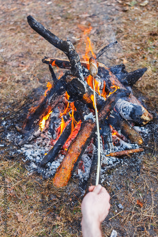 A man fries sausages against the grass on a campfire in the spring forest. In the frame of one hand. A man fries sausages against the grass on a campfire in the spring forest. In the frame of one hand.