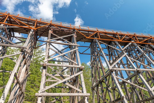 Detail of Kinsol Trestle wooden railroad bridge in Vancouver Island, BC Canada