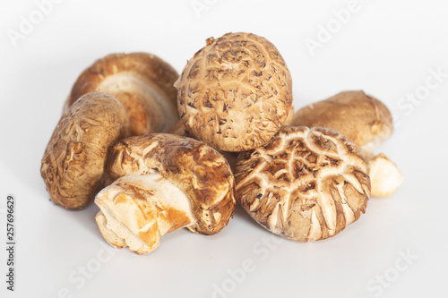Shiitake mushroom on white background.