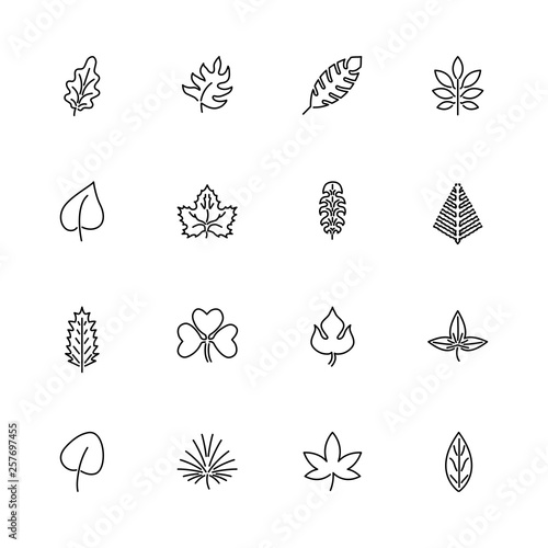 Herb - Flat Vector line Icons