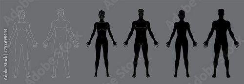 Woman`s and men`s body silhouettes. Vector illustration isolated on gray background.