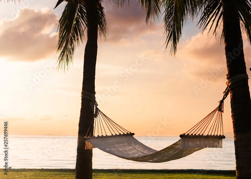 hammock on tropical palm trees overlooking the mountains © Rock and Wasp