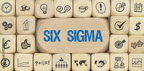 Canvastavla Six Sigma