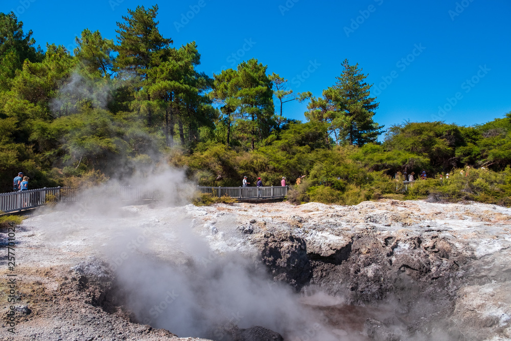 Beautiful scenery of thermal land, Rotorua, North Island,  New Zealand.