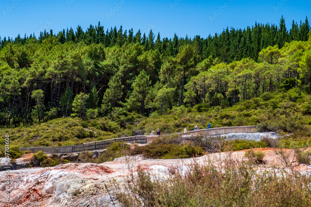 Obraz premium Beautiful scenery of thermal land, Rotorua, North Island, New Zealand.