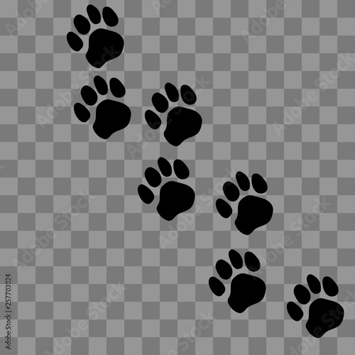 Paw prints. Logo