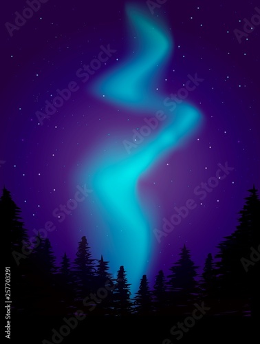 Night polar landscape with aurora. Borealis and forest vector illustration.