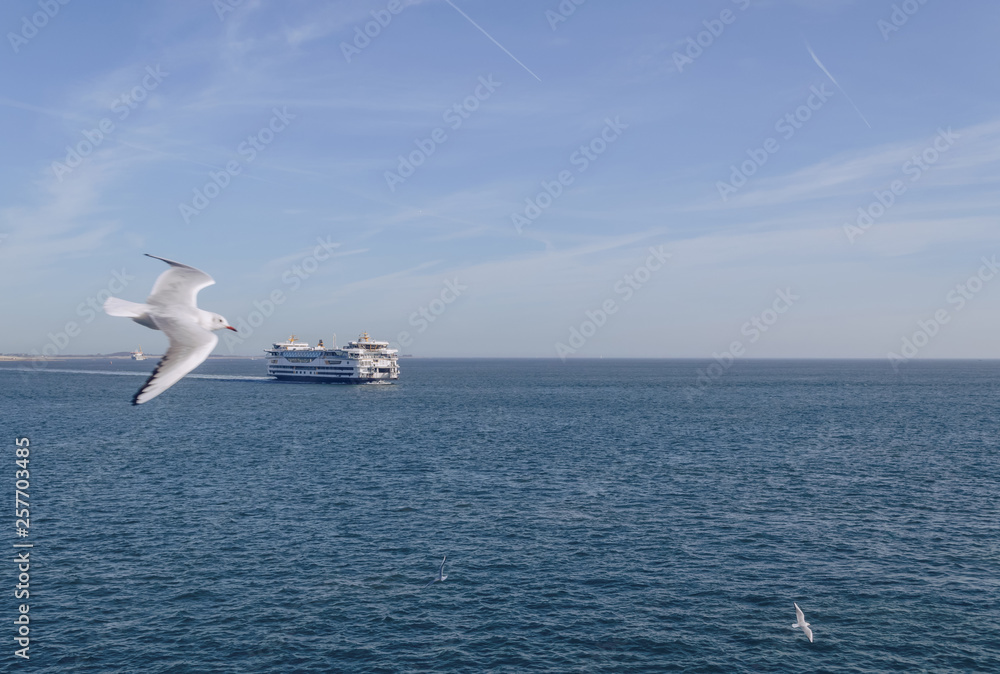 Fototapeta premium sailing from Texel island ferry