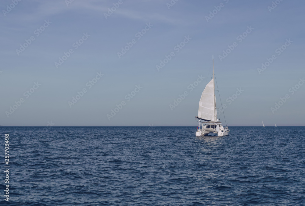 sailing in the sea catamaran