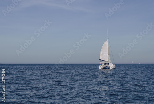 sailing in the sea catamaran © anney_lier