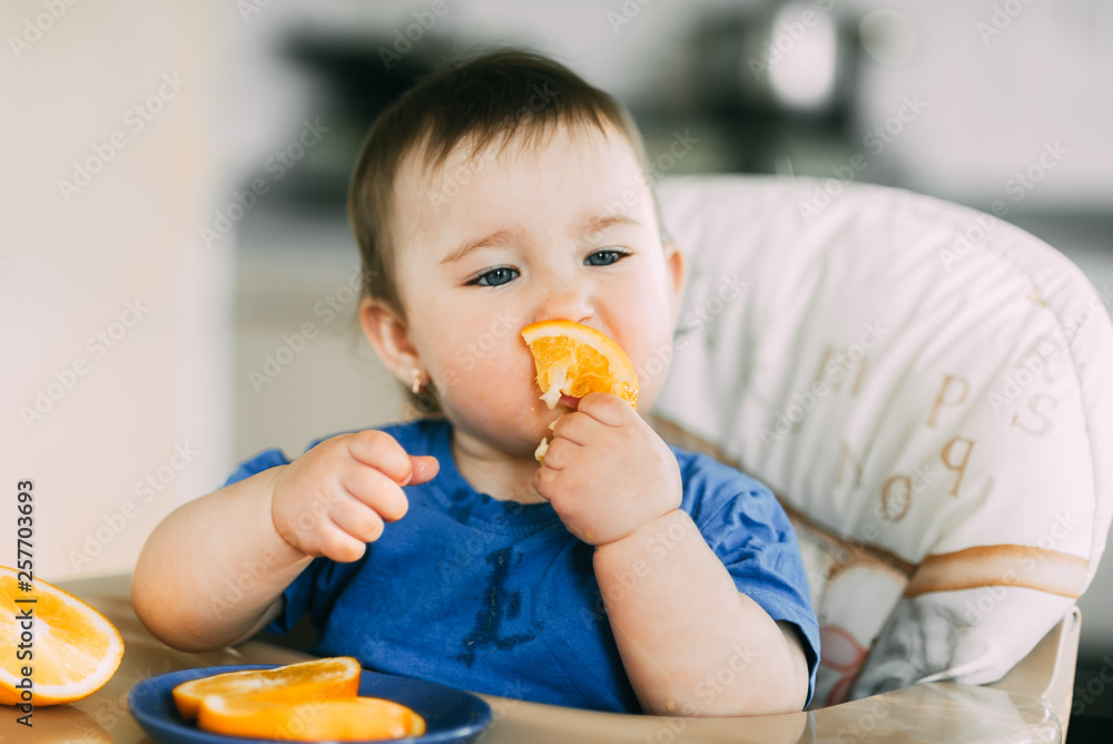 little girl sitting in baby chair, eating an orange little girl sitting in baby chair, eating an orange