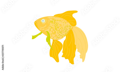 Fisch