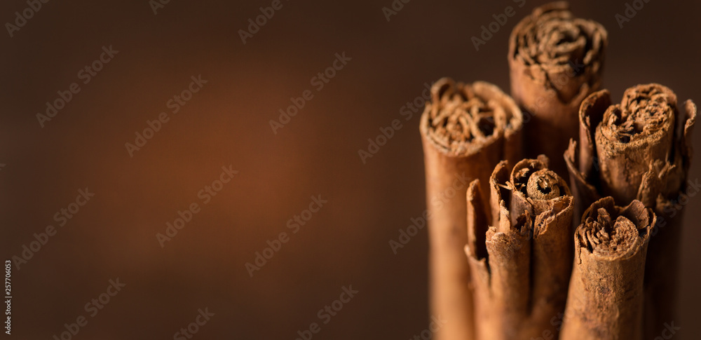 Ceylon cinnamon sticks - obrazy, fototapety, plakaty 