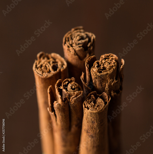Ceylon cinnamon sticks