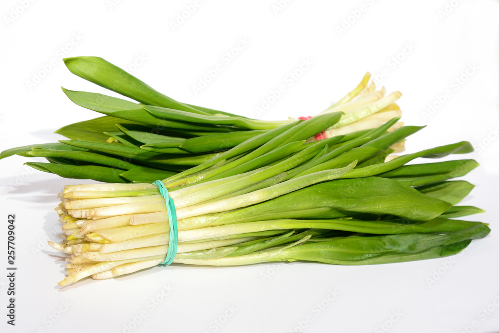 Allium ursinum – known as ramsons, buckrams, wild garlic, broad-leaved garlic, wood garlic, bear leek, or bear's garlic isolated on white background Allium ursinum – known as ramsons, buckrams, wild garlic, broad-leaved garlic, wood garlic, bear leek, or bear's garlic isolated on white background