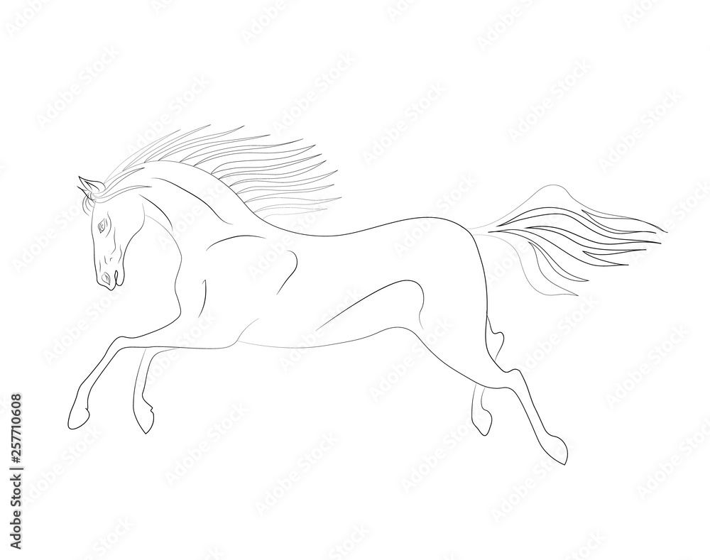 Fototapeta Galloping horse. Hand drawing black and white vector illustration.