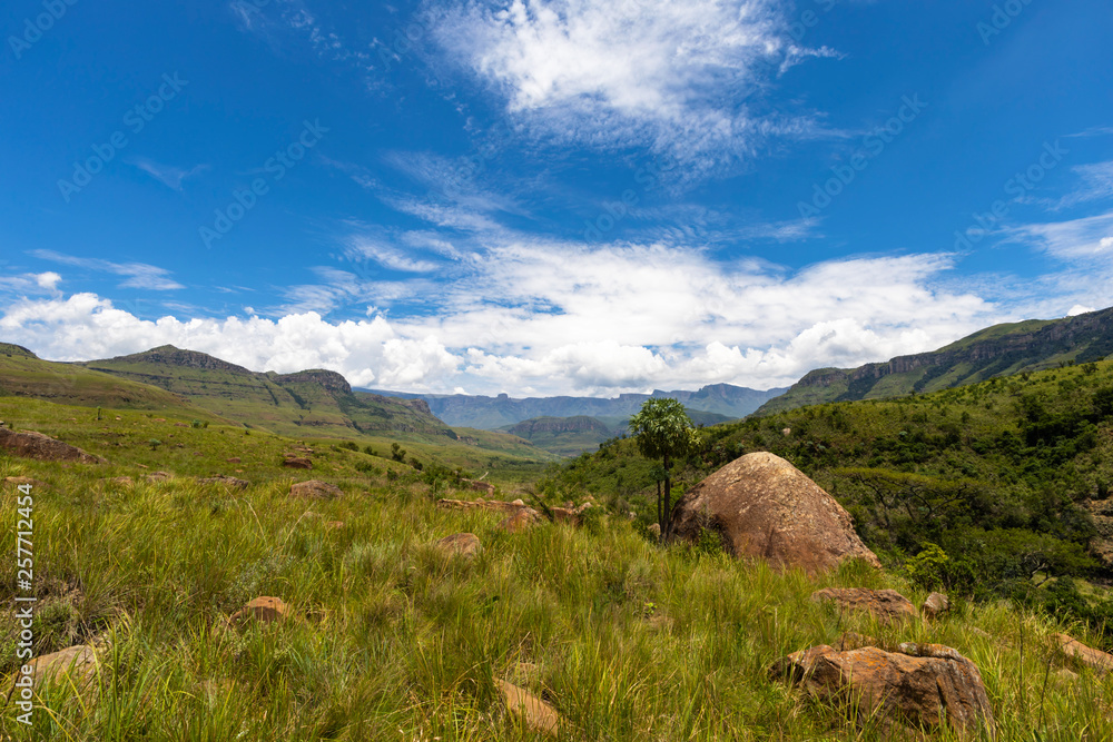 Naklejka premium Green grass blue sky and white clouds