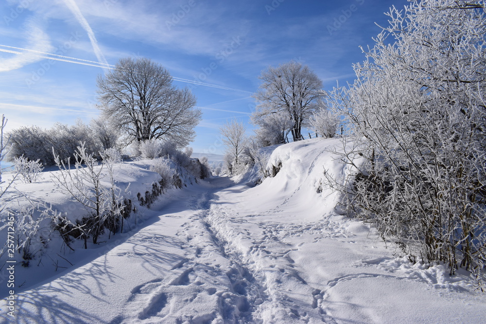 Obraz premium Neige 10