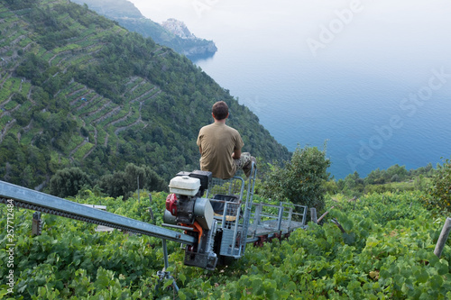 A farmer rides the monorail down to his vineyard to harvest the grapes on the Amalfi Coast, Italy