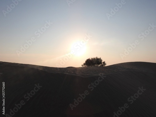 Beautiful sunrise and sand dunes in Sahara desert, Africa.