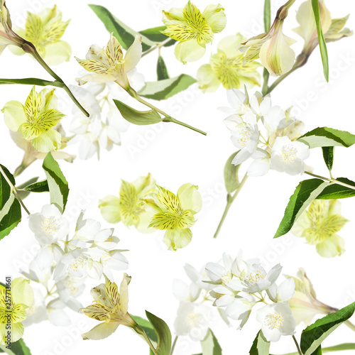 Beautiful floral background of Jasmine and yellow Alstroemeria. Isolated