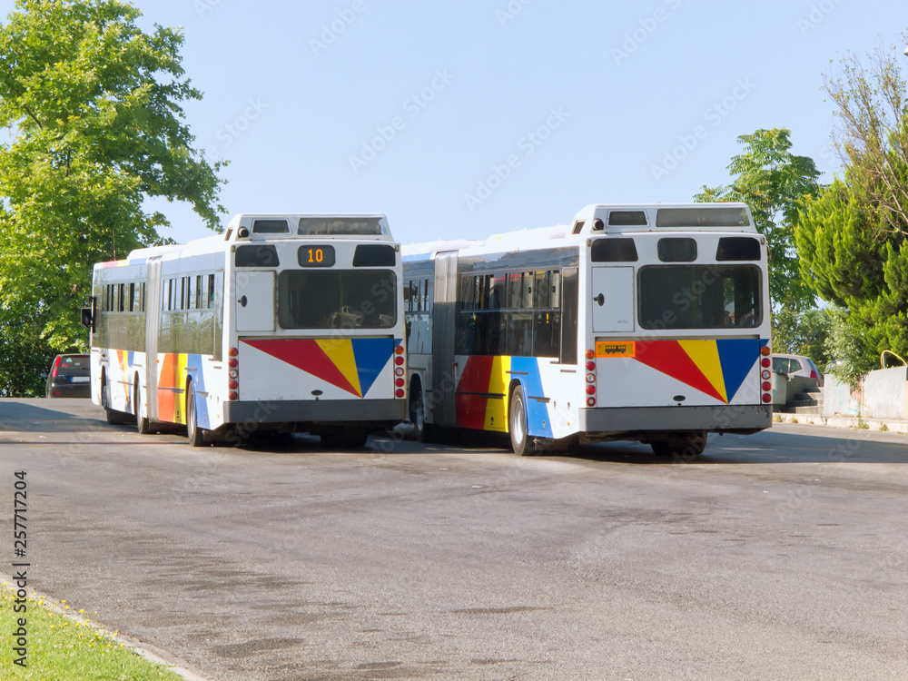 Naklejka premium buses in a row