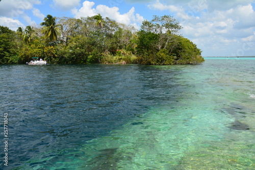 Fototapeta Naklejka Na Ścianę i Meble -  Laguna de Bacalar Quintana Roo Mexique