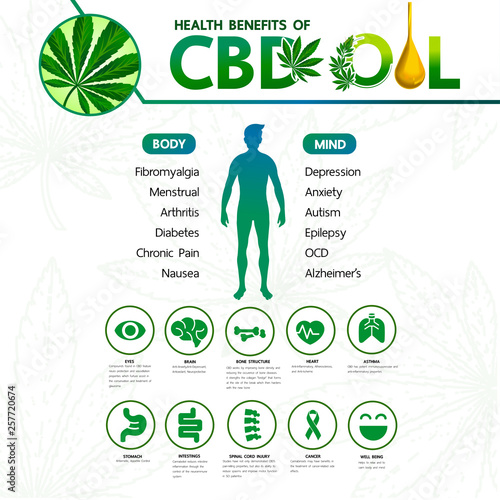 Cannabis benefits for health vector illustration.