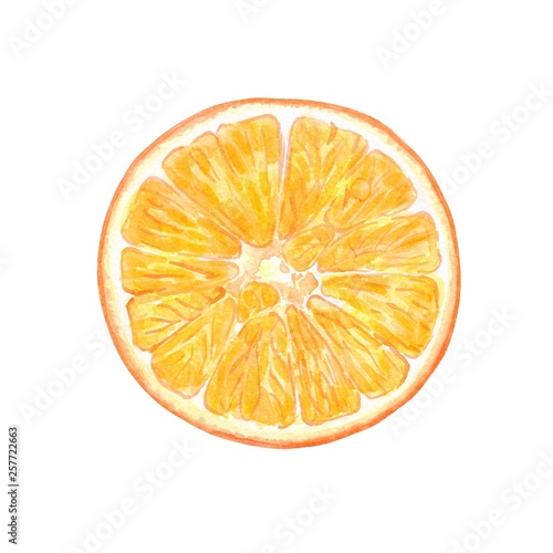 Fruit illustration with Orange slice, watercolor painting. Sweet and fresh fruit element for menu, greeting cards, wrapping paper, cosmetics packaging, labels, tags, posters