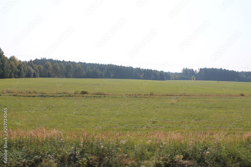 The fields and forests of the Czech Republic in August day