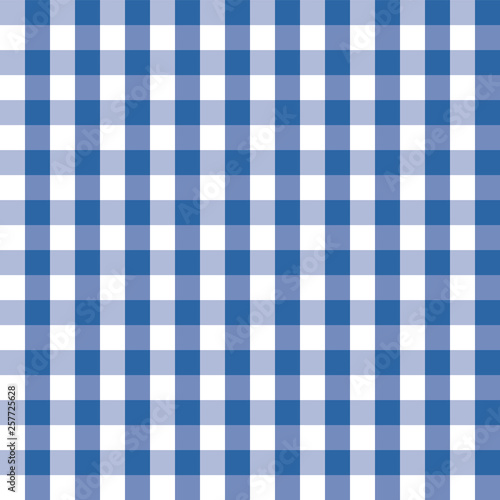 Blue and white plaids seamless pattern. Checkered seamless vector pattern. Great for backgrounds, fabric, packaging, and all kind of paper projects. Simple background.