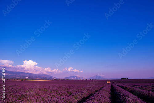 stone house at lavender field