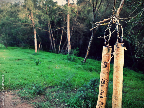 nunchucks in the forest