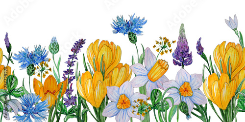 Hand painted watercolor template of spring flowers. © Tasha_zen