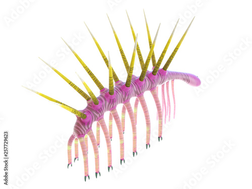 3d rendered illustration of a Hallucigenia photo