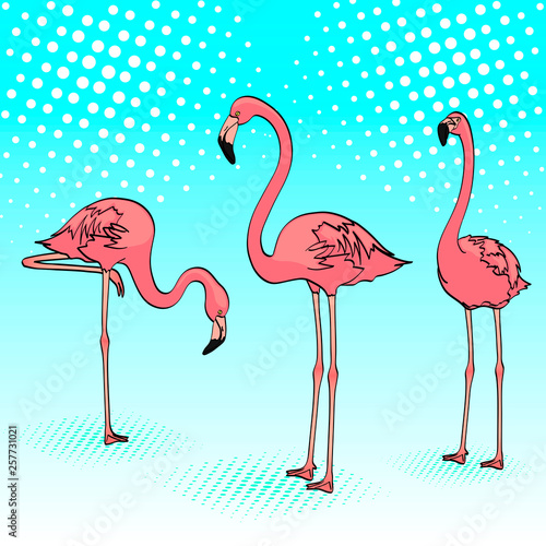 Pop art background. Three pink flamingos on the blue sea, birds rest. Raster