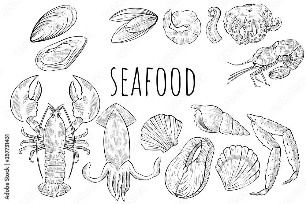 Different seafood products, vector engraving style
