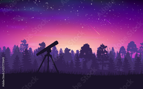 Night shining starry sky. Summer night. 