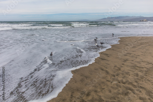 Coast in san francisco