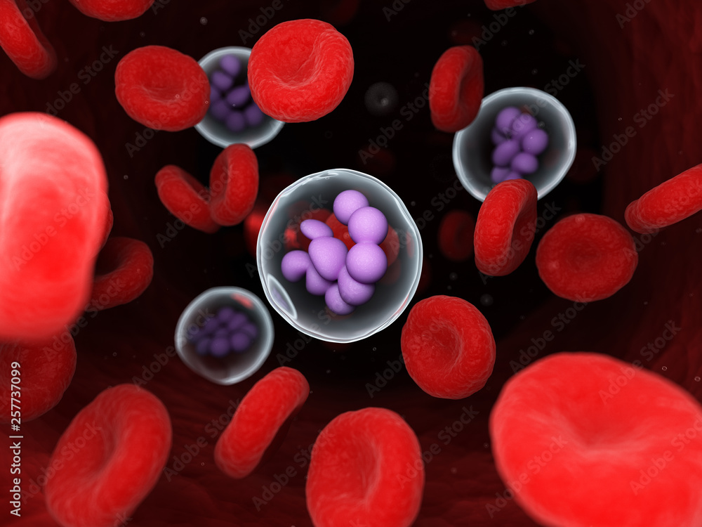 3d rendered medically accurate illustration of a megakaryocyte 3d rendered medically accurate illustration of a megakaryocyte