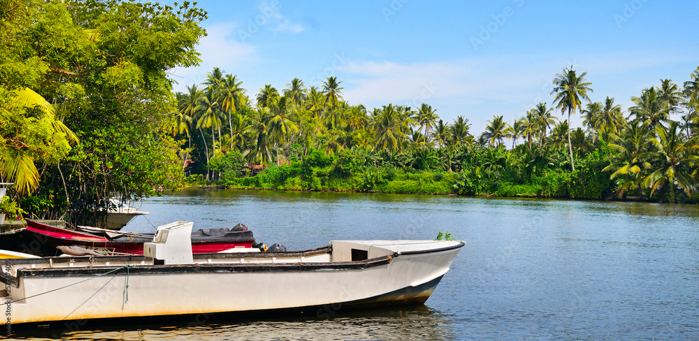 Beautiful view of the lake and tropical vegetation on the shore on a bright sunny day. Wide photo. Beautiful view of the lake and tropical vegetation on the shore on a bright sunny day. Wide photo.