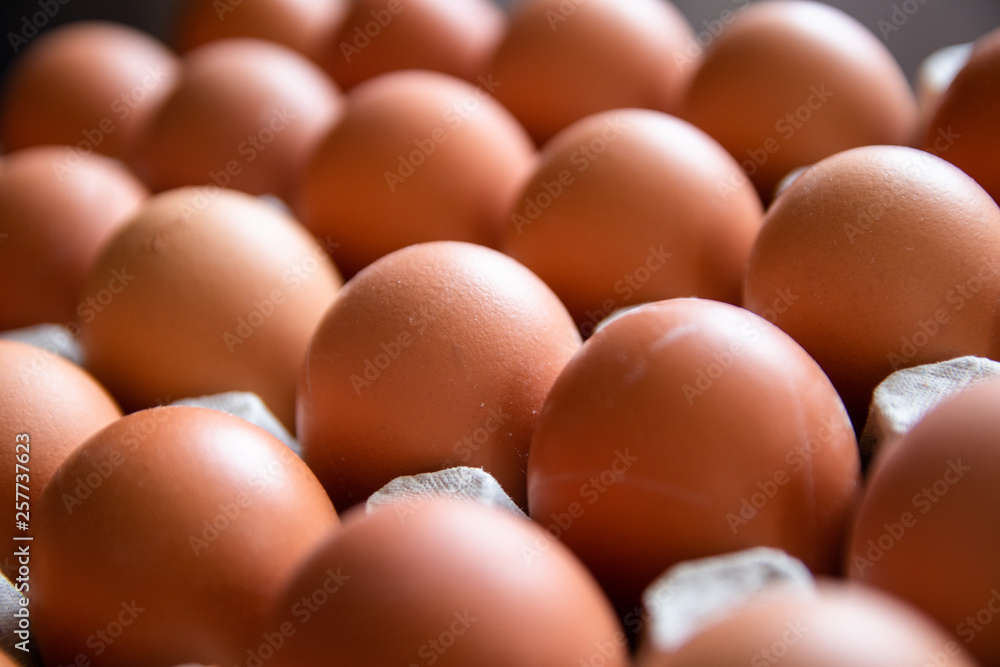 Raw fresh organic chicken eggs in carton egg box