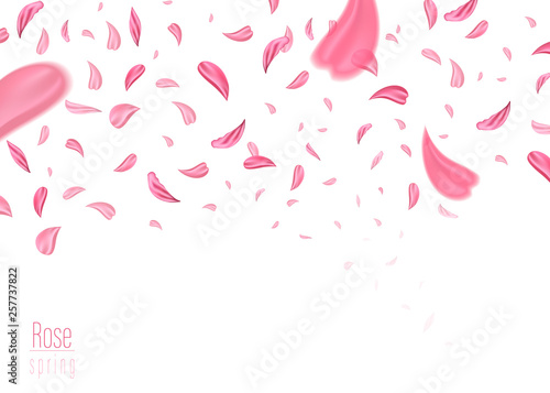 Sakura's flower. Fashion accessory illustration in trendy soft colors for beauty salon, shop, blog print. Isolated symbol on pink background.