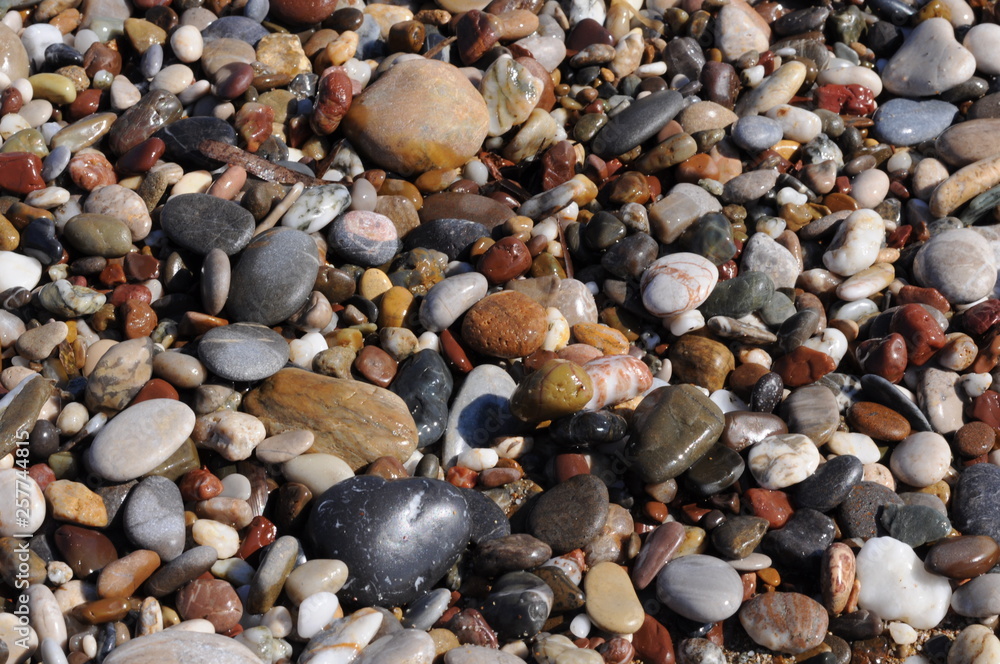 Wet pebbles on the beach Wet pebbles on the beach